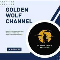 🐺 GOLDEN WOLF FX SINGNALS🐺