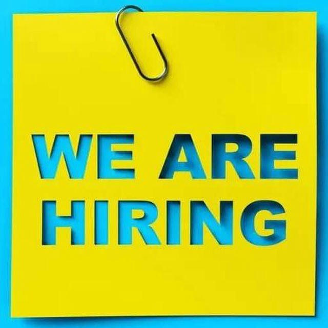 Job for you 🔰وظيفتك