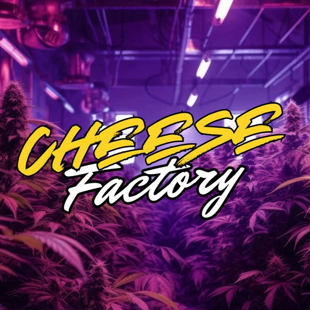 Cheese Factory 🇬🇧