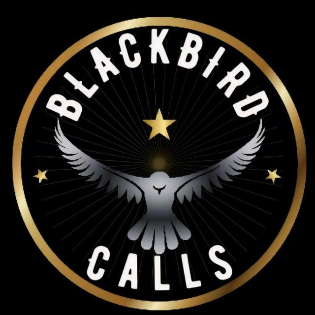 BlackBird Calls