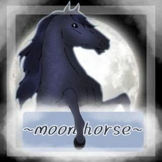 ☾ Магазин “Moon Horse“ Wild Horse Islands ☾