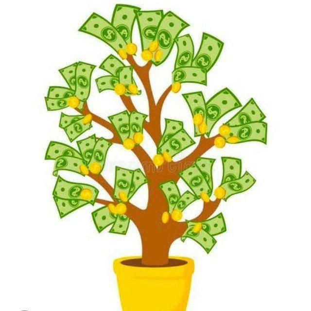 Money Plant Earnings Tips