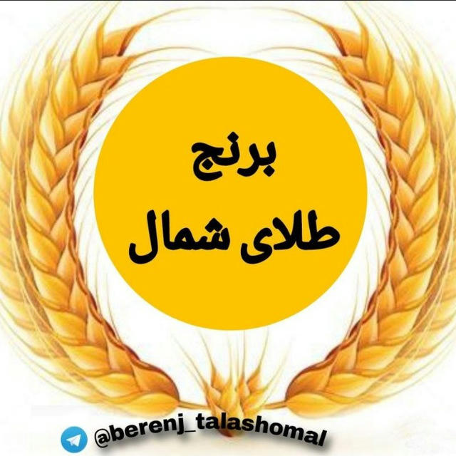 برنج طلای شمال🌾🌾