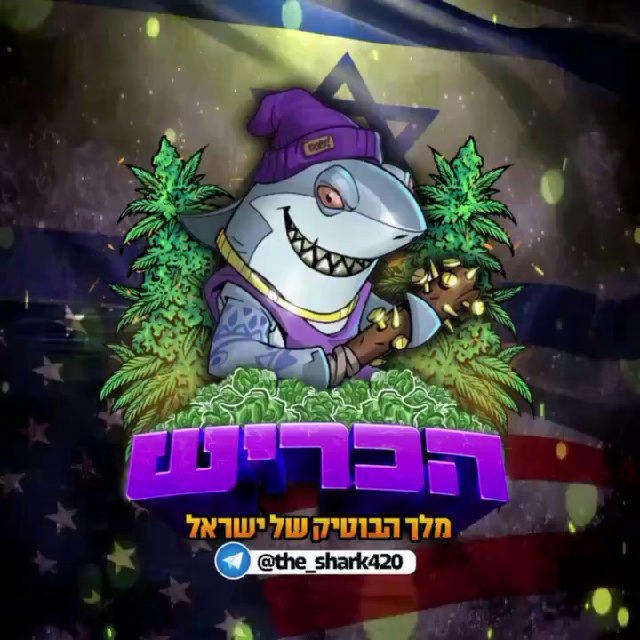 🦈ערוץ הביקורות הכריש