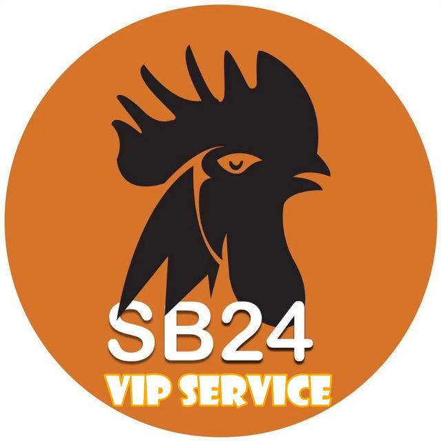 SB24VIP SERVICE