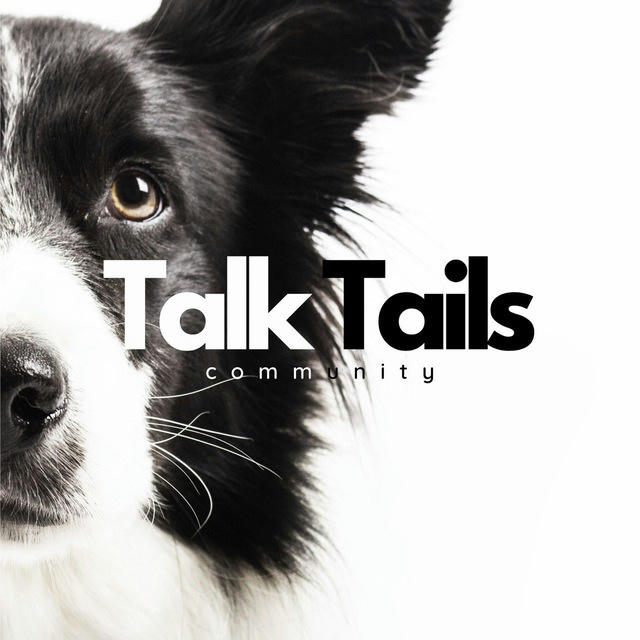 TALK TAILS 🐶: разговор во благо