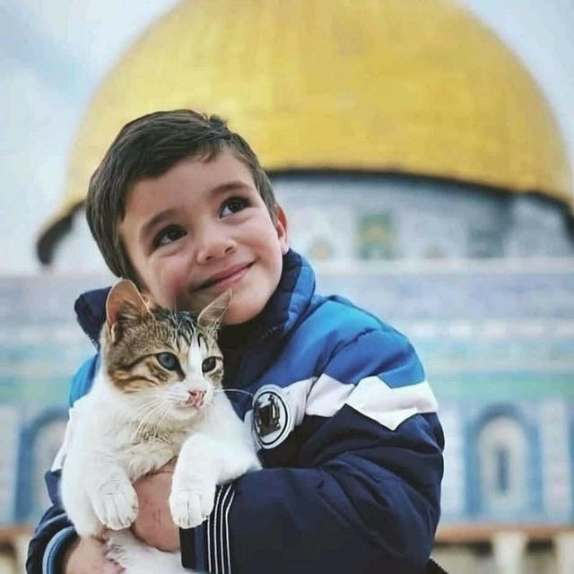 أثَر عابِرة.🇵🇸