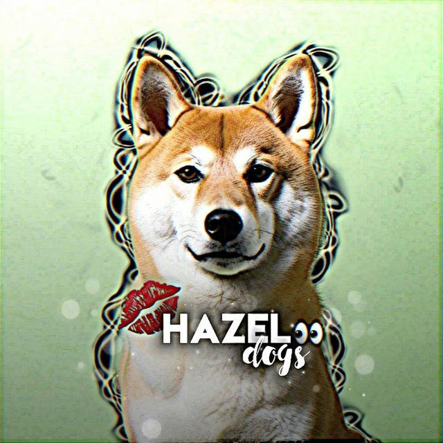 🍃Hazel Dogs👀