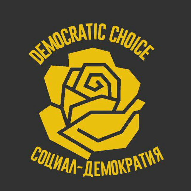 Democratic Choice🌹🐱