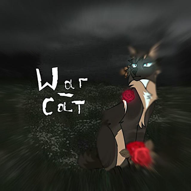 –|•War_cat•|