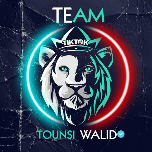 TEAM TOUNSI WALID