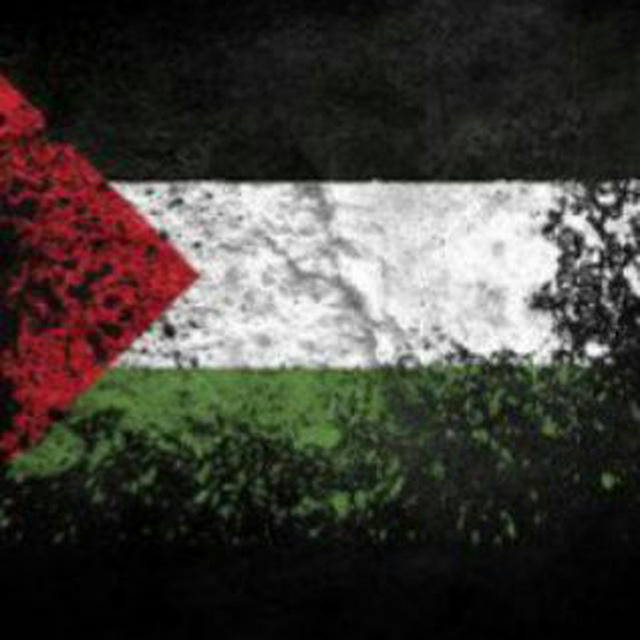 Eye On Gaza 🔴