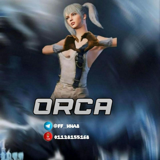 ORCA🦈