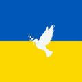Ukraine ⚜️ Insider