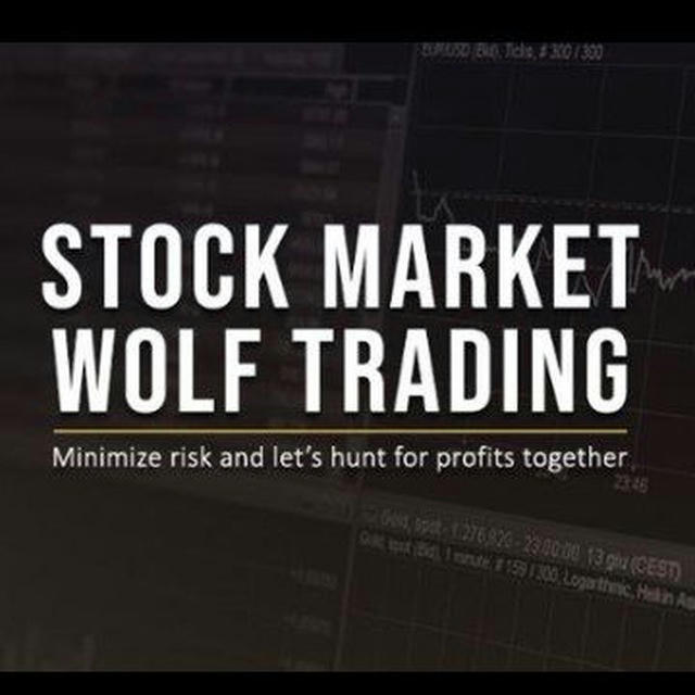 💥STOCK MARKET WOLF /STOCKS & OPTIONS TRADER💥