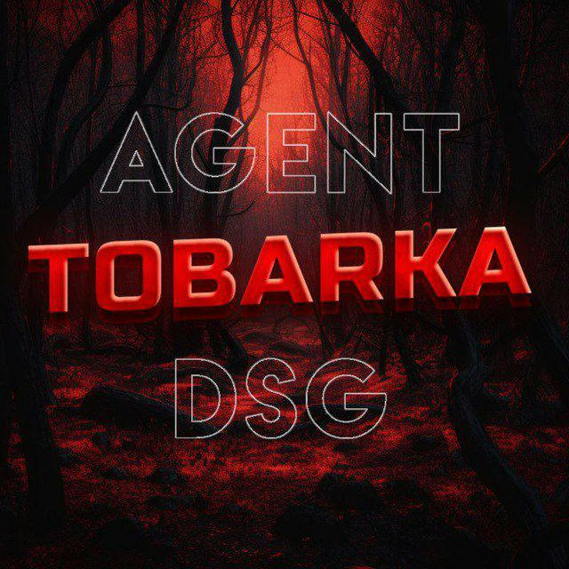 Agent DSG Shop