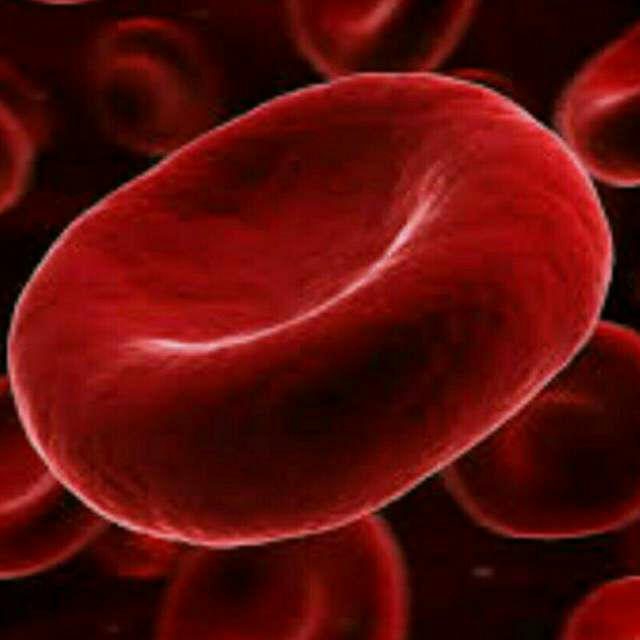 Hematology books and courses