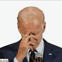 Bidencash Cards