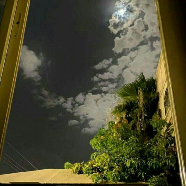 مَـلجـأ🌴♥.