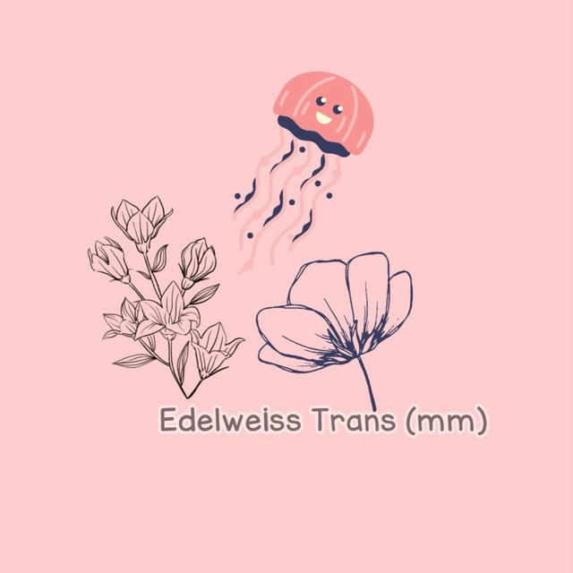Edelweiss Translation ( Mm )
