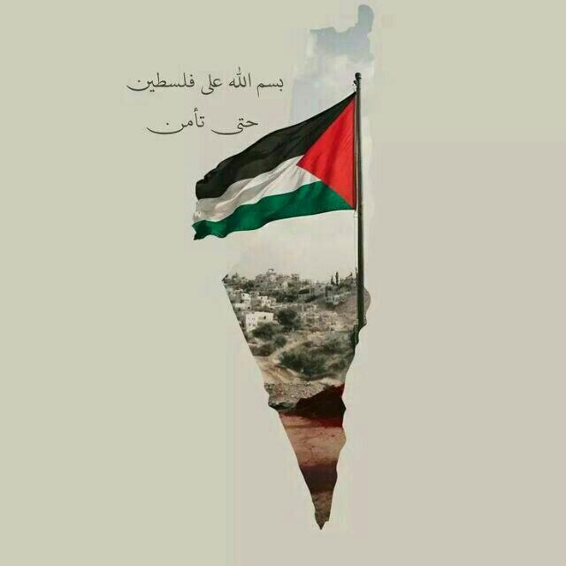 إطمئِن🇵🇸.