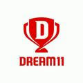 Dream11 fantasy team official