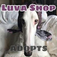 Luva Shop//Adopts&yches