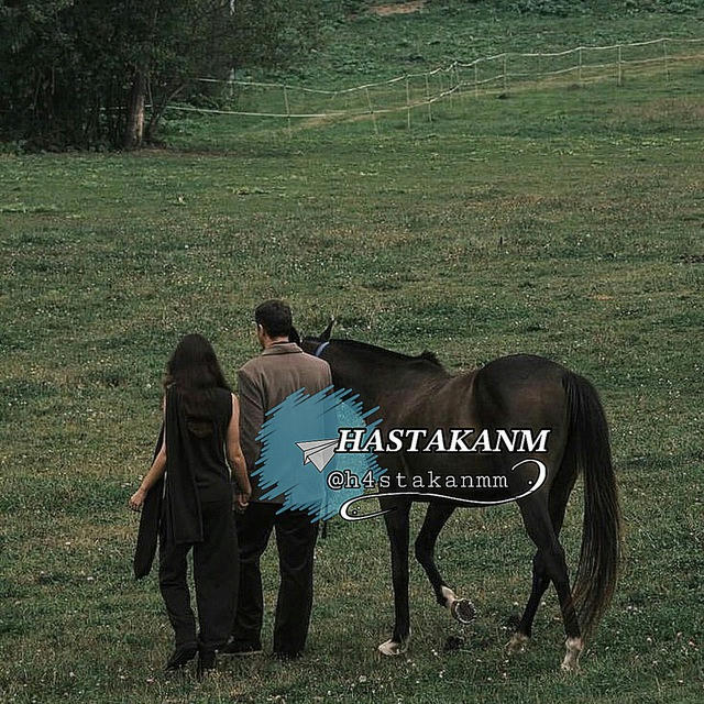 «ＨＡＳＴＡＫＡＮＭ»