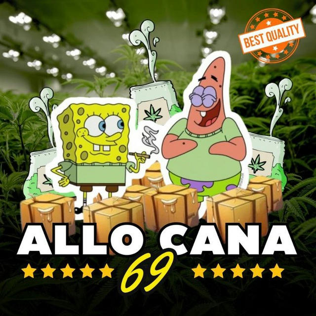 ALLO CANNA 69 🚀 🇳🇱 🇺🇸 🇲🇦 🚀