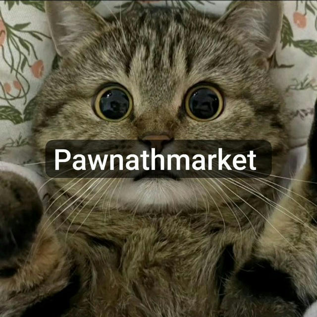 🐈‍⬛️🍄‍🟫𓂂 ๋ ；Pawnath market! l open