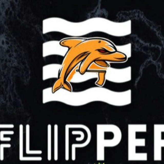 Flipper KGF 🐬🦊