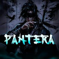 Pantera_so2