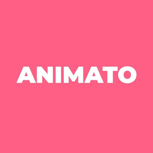 Оркестр "Animato"