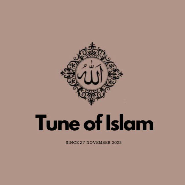 Tune of Islam ˚ ༘