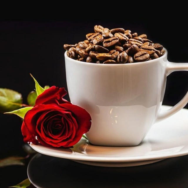 🌸قـ,ـهـ,ـۅةّ☕️ۅعـ,ـبـ,ـر 🌸