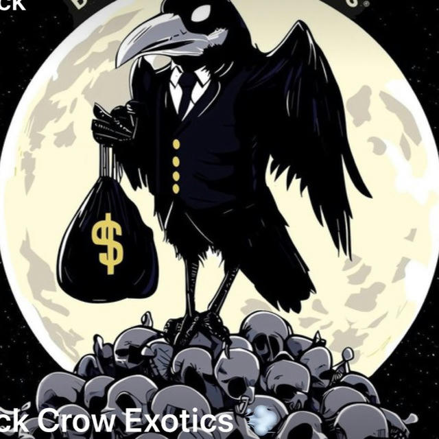 Black Crow Exotics