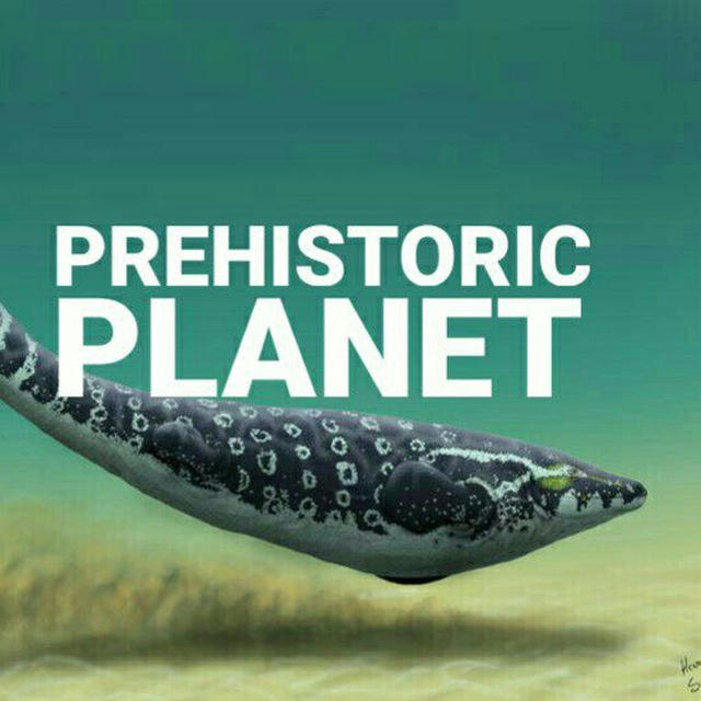 PREHISTORIC🐾️PLANET