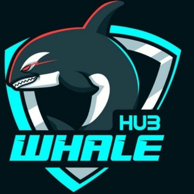 Whale Hub 🐋