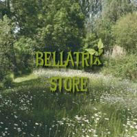 BELLATRIX STORE (open)