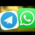Teligrm And WhatsApp Chennel💲💲💲