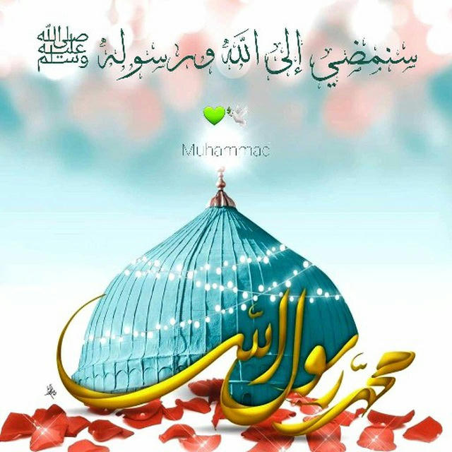 ❤🕊 ِإلى الله وَرسُولهِ ﷺ سَنمضِي..❤️🕊