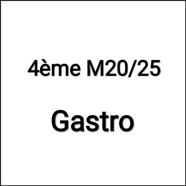 Chaîne Gastro 4ème M20/25