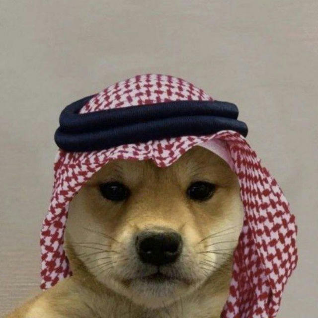 ميمز ياو ياو