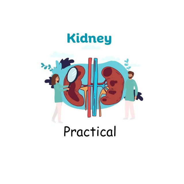 Kidney | Practical