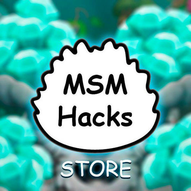MSM Hacks Store