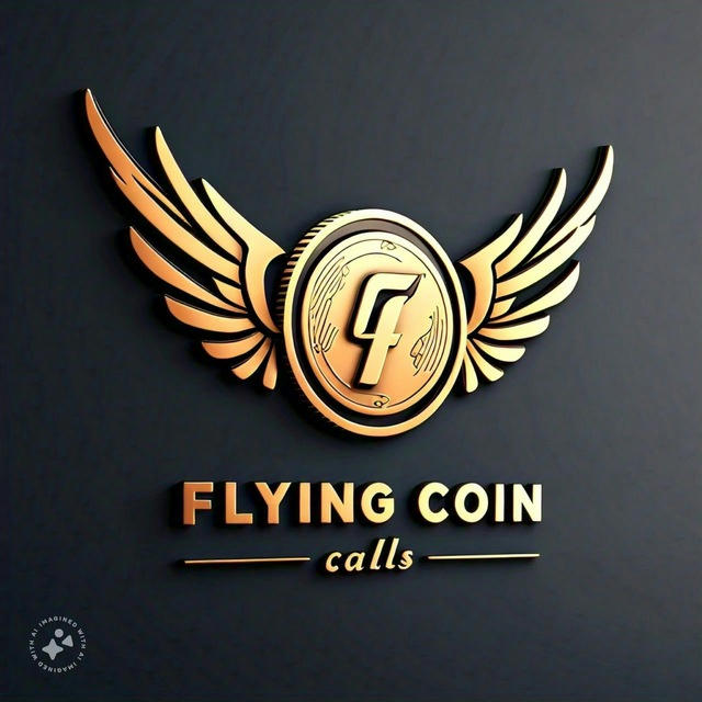 FLYING COIN 飞币 CALLS 🐼🍜