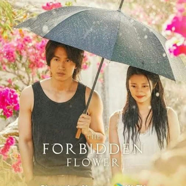🪷 The Forbidden Flower 🪷
