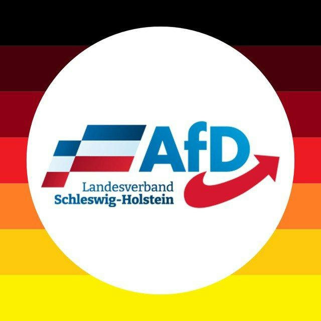 AfD TV Schleswig-Holstein