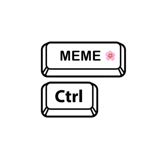CTRL + MEME