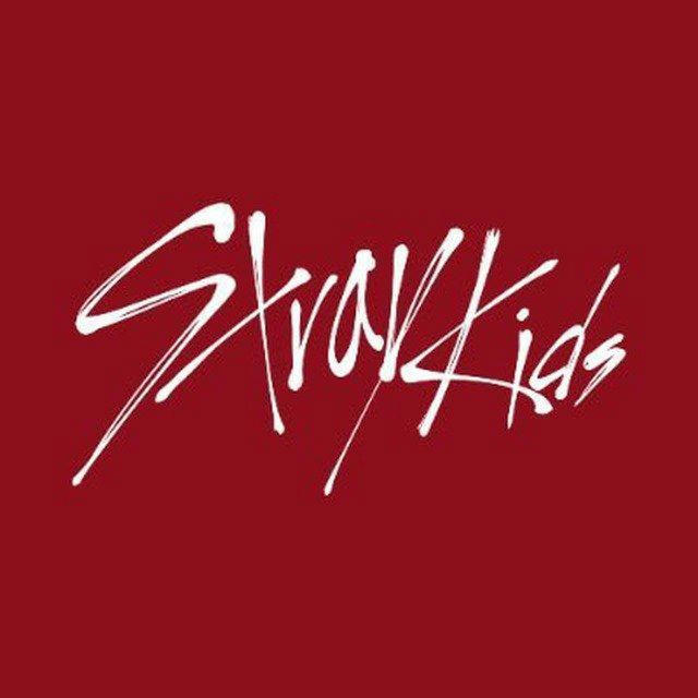 STRAY KIDS | 流浪孩子